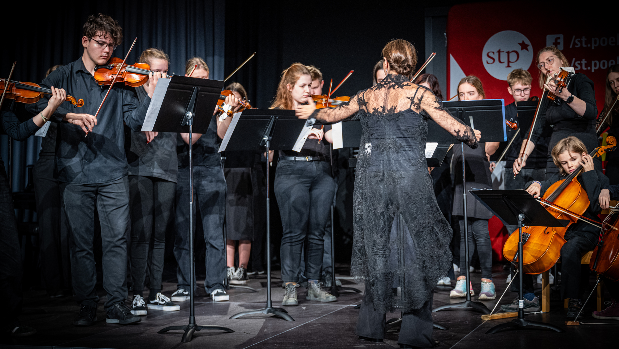 Streichinstrumente Banner